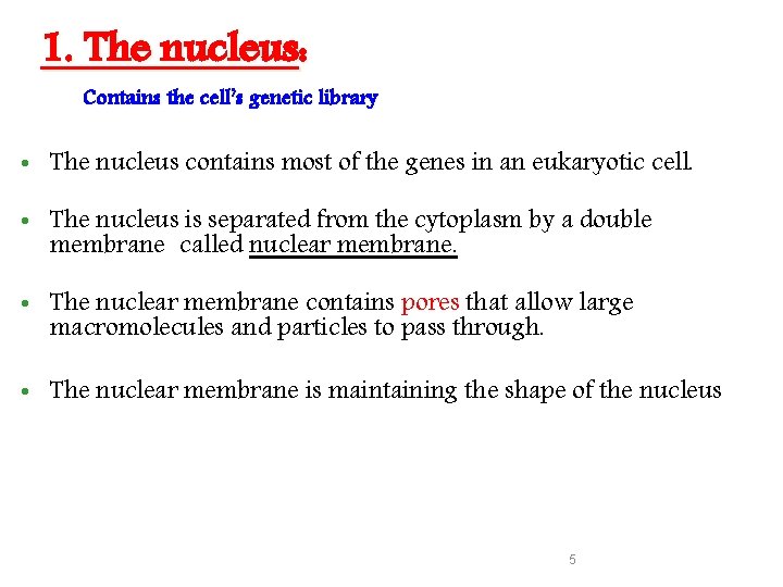 1. The nucleus: Contains the cell’s genetic library • The nucleus contains most of