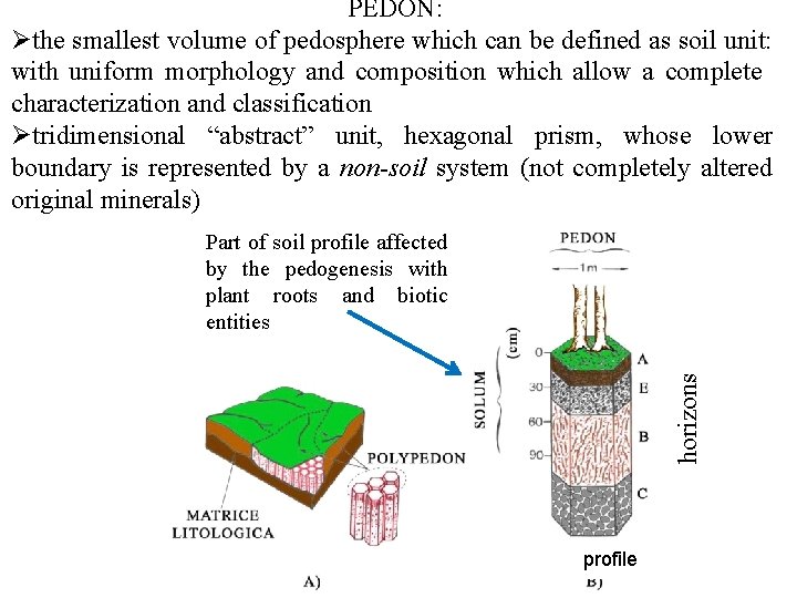 PEDON: Øthe smallest volume of pedosphere which can be defined as soil unit: with