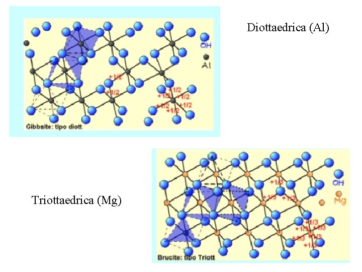 Diottaedrica (Al) Triottaedrica (Mg) 