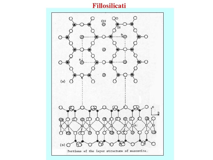 Fillosilicati 
