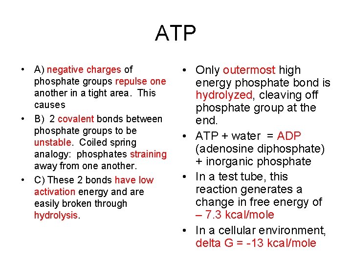 ATP • A) negative charges of phosphate groups repulse one another in a tight
