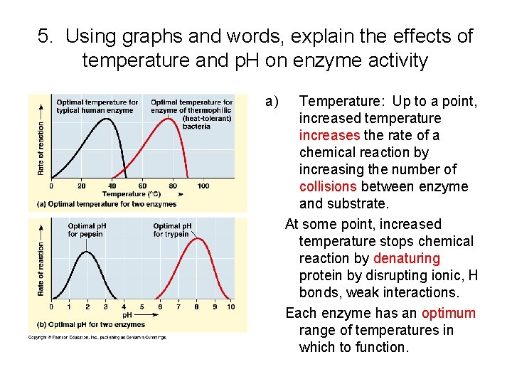 5. Using graphs and words, explain the effects of temperature and p. H on