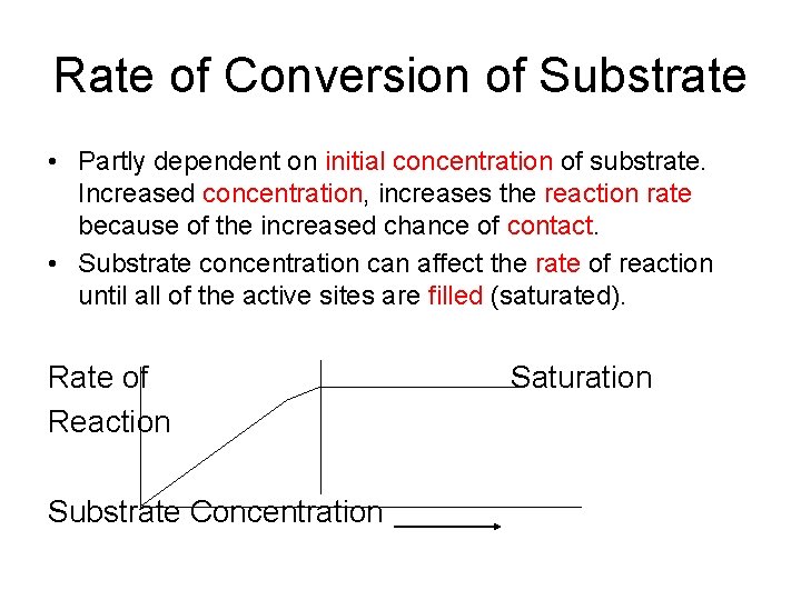 Rate of Conversion of Substrate • Partly dependent on initial concentration of substrate. Increased