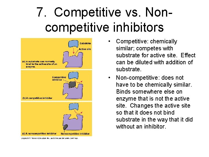 7. Competitive vs. Noncompetitive inhibitors • Competitive: chemically similar; competes with substrate for active