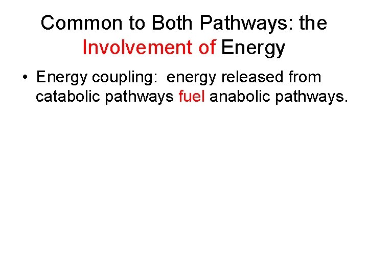 Common to Both Pathways: the Involvement of Energy • Energy coupling: energy released from