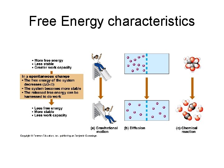 Free Energy characteristics 