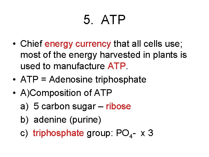 5. ATP • Chief energy currency that all cells use; most of the energy