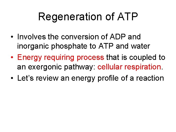 Regeneration of ATP • Involves the conversion of ADP and inorganic phosphate to ATP