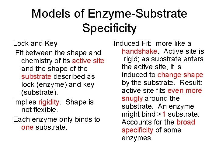 Models of Enzyme-Substrate Specificity Lock and Key Fit between the shape and chemistry of