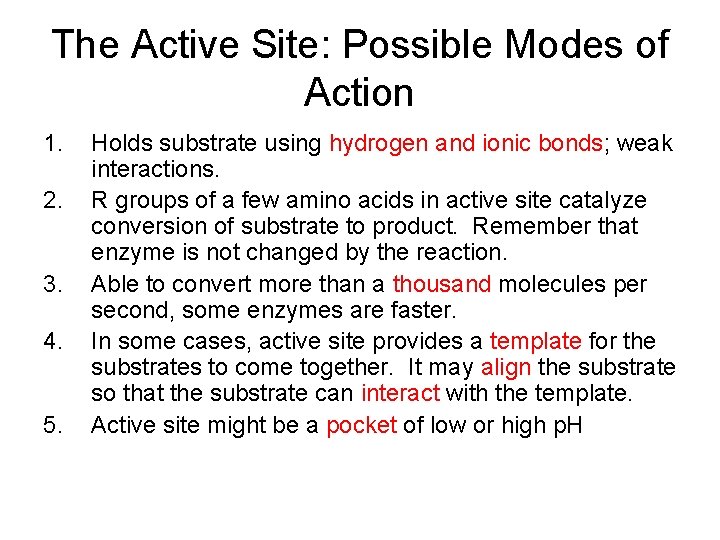 The Active Site: Possible Modes of Action 1. 2. 3. 4. 5. Holds substrate