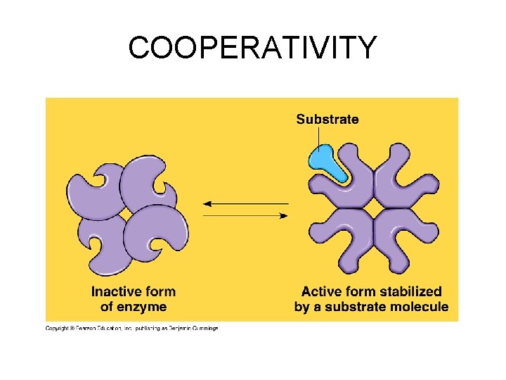 COOPERATIVITY 