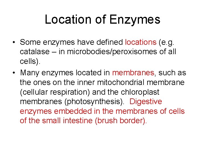 Location of Enzymes • Some enzymes have defined locations (e. g. catalase – in