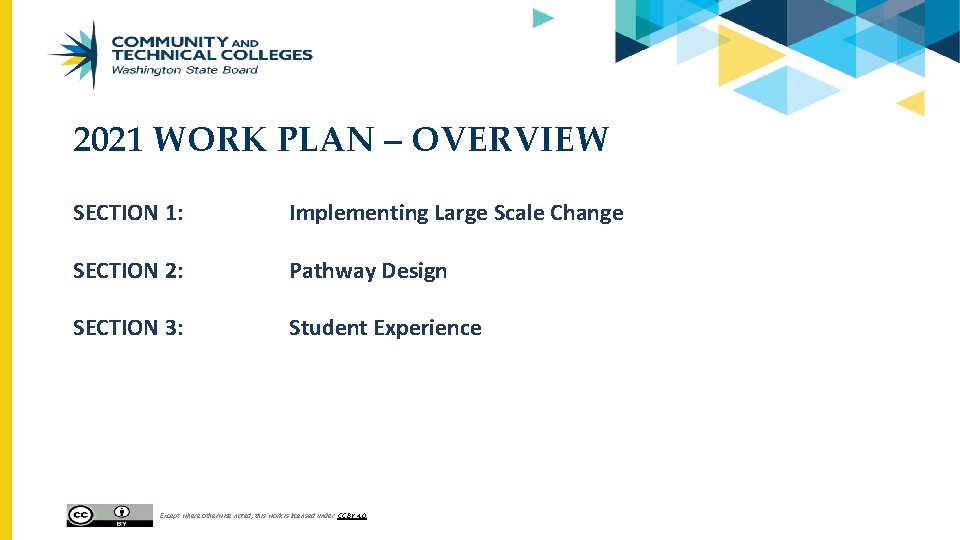 2021 WORK PLAN – OVERVIEW SECTION 1: Implementing Large Scale Change SECTION 2: Pathway