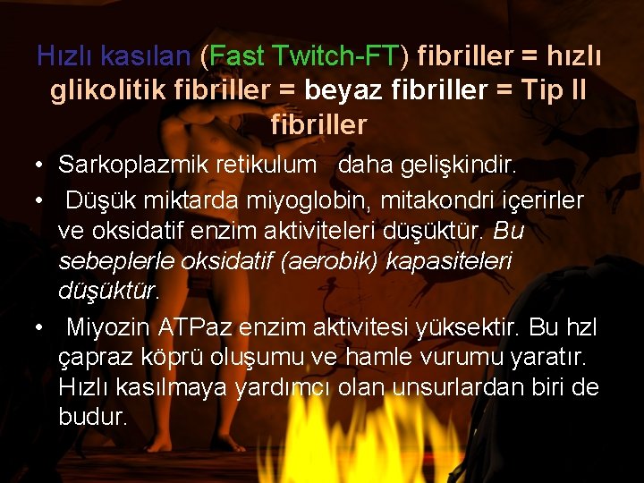 Hızlı kasılan (Fast Twitch-FT) fibriller = hızlı glikolitik fibriller = beyaz fibriller = Tip