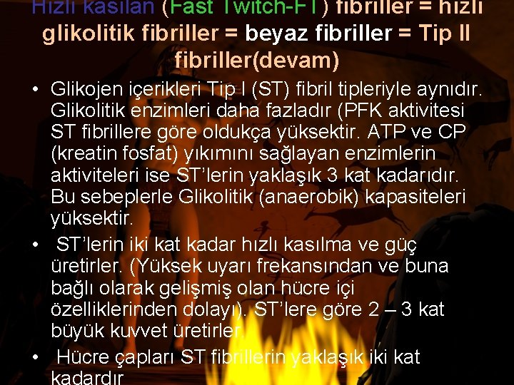 Hızlı kasılan (Fast Twitch-FT) fibriller = hızlı glikolitik fibriller = beyaz fibriller = Tip