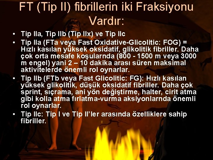 FT (Tip II) fibrillerin iki Fraksiyonu Vardır: • Tip IIa, Tip IIb (Tip IIx)