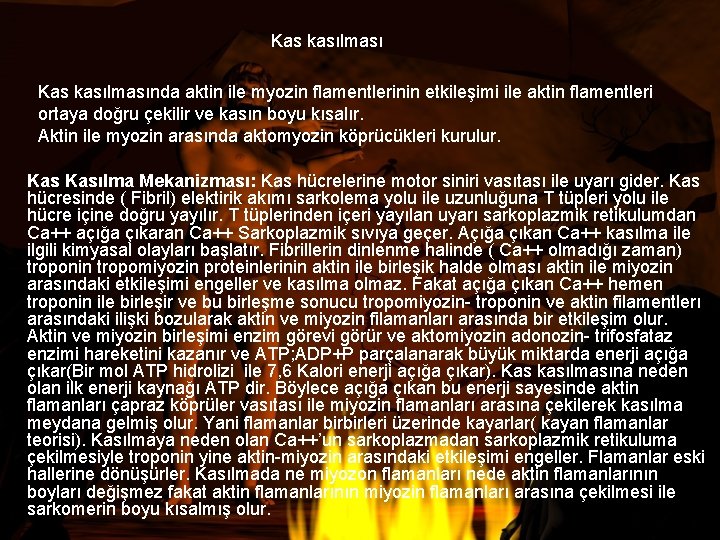 Kas kasılmasında aktin ile myozin flamentlerinin etkileşimi ile aktin flamentleri ortaya doğru çekilir ve