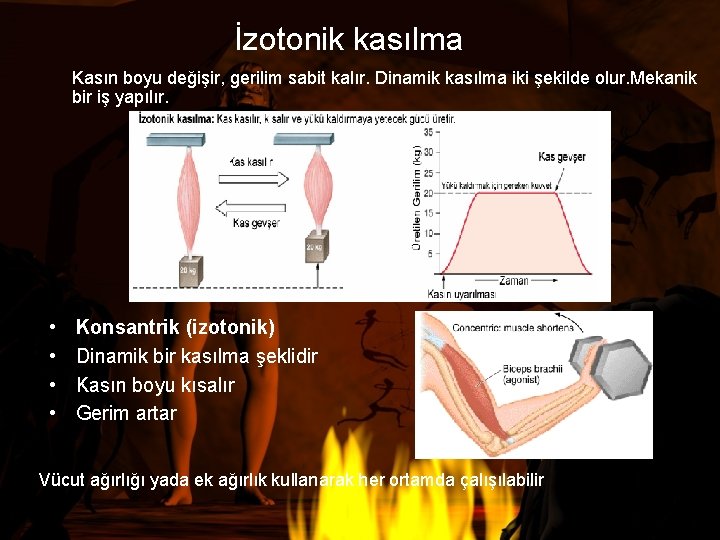 İzotonik kasılma Kasın boyu değişir, gerilim sabit kalır. Dinamik kasılma iki şekilde olur. Mekanik