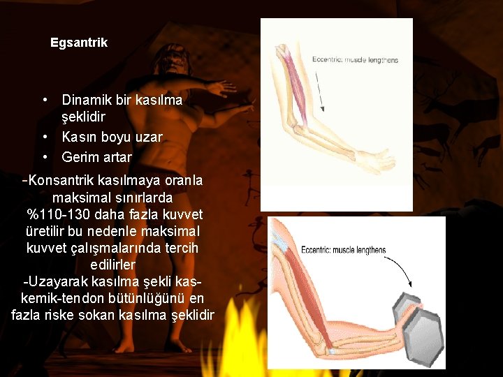 Egsantrik • Dinamik bir kasılma şeklidir • Kasın boyu uzar • Gerim artar -Konsantrik