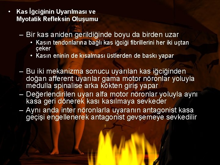  • Kas İğciğinin Uyarılması ve Myotatik Refleksin Oluşumu – Bir kas aniden gerildiğinde