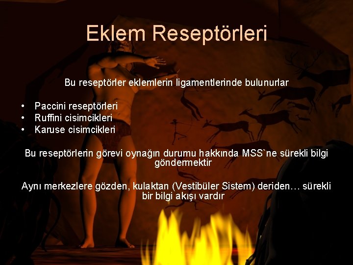 Eklem Reseptörleri Bu reseptörler eklemlerin ligamentlerinde bulunurlar • Paccini reseptörleri • Ruffini cisimcikleri •