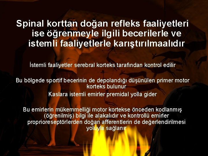 Spinal korttan doğan refleks faaliyetleri ise öğrenmeyle ilgili becerilerle ve istemli faaliyetlerle karıştırılmaalıdır İstemli