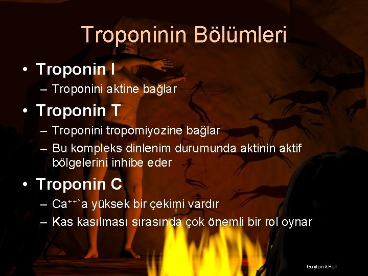 Troponinin Bölümleri • Troponin I – Troponini aktine bağlar • Troponin T – Troponini