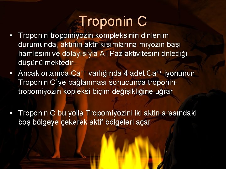 Troponin C • Troponin-tropomiyozin kompleksinin dinlenim durumunda, aktinin aktif kısımlarına miyozin başı hamlesini ve