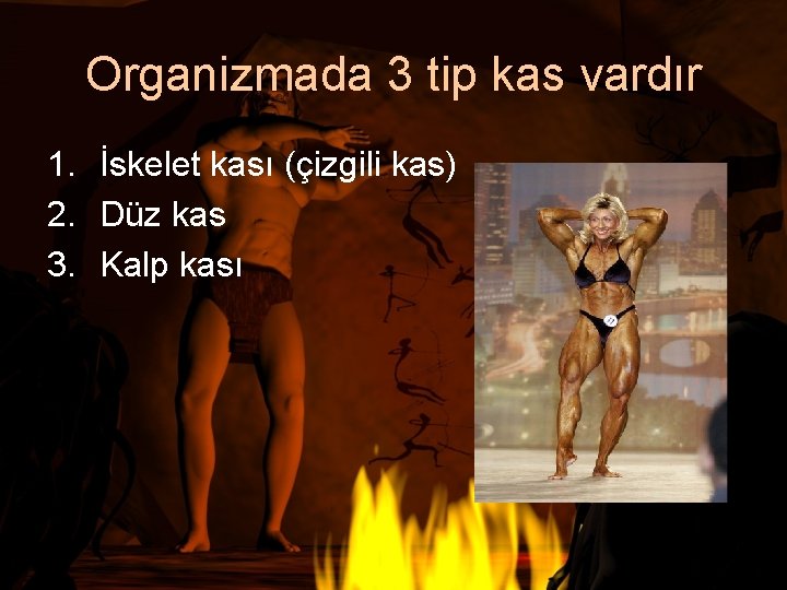 Organizmada 3 tip kas vardır 1. İskelet kası (çizgili kas) 2. Düz kas 3.