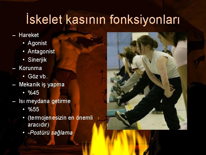 İskelet kasının fonksiyonları – Hareket • Agonist • Antagonist • Sinerjik – Korunma •