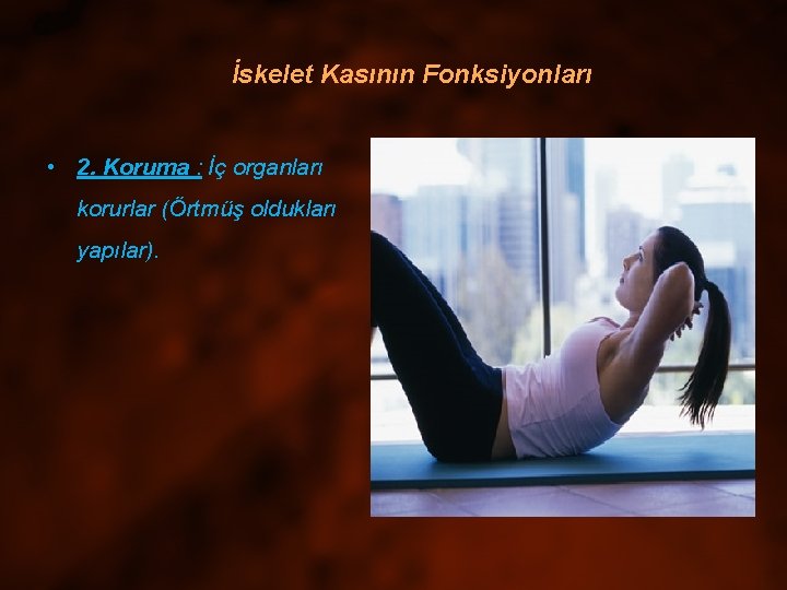 İskelet Kasının Fonksiyonları • 2. Koruma : İç organları korurlar (Örtmüş oldukları yapılar). 