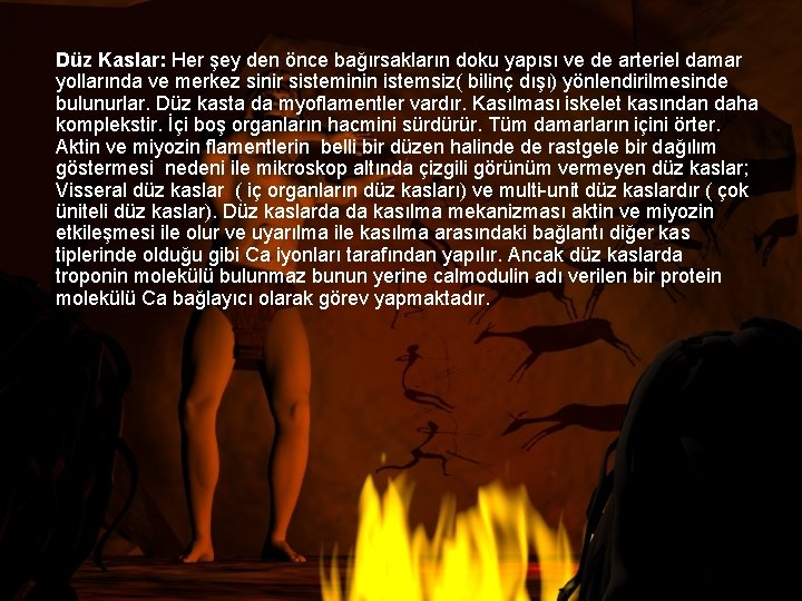 Düz Kaslar: Her şey den önce bağırsakların doku yapısı ve de arteriel damar yollarında