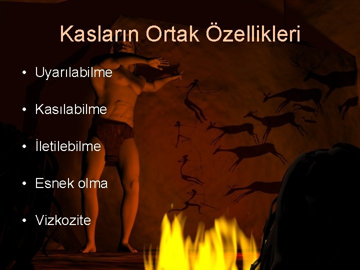 Kasların Ortak Özellikleri • Uyarılabilme • Kasılabilme • İletilebilme • Esnek olma • Vizkozite