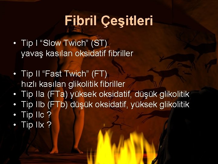 Fibril Çeşitleri • Tip I “Slow Twich” (ST) yavaş kasılan oksidatif fibriller • Tip