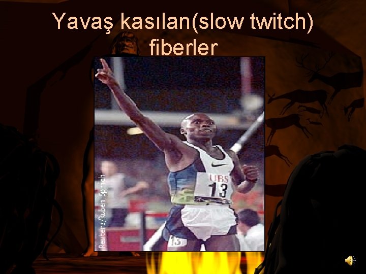 Yavaş kasılan(slow twitch) fiberler 