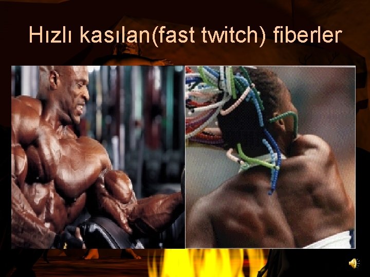 Hızlı kasılan(fast twitch) fiberler 