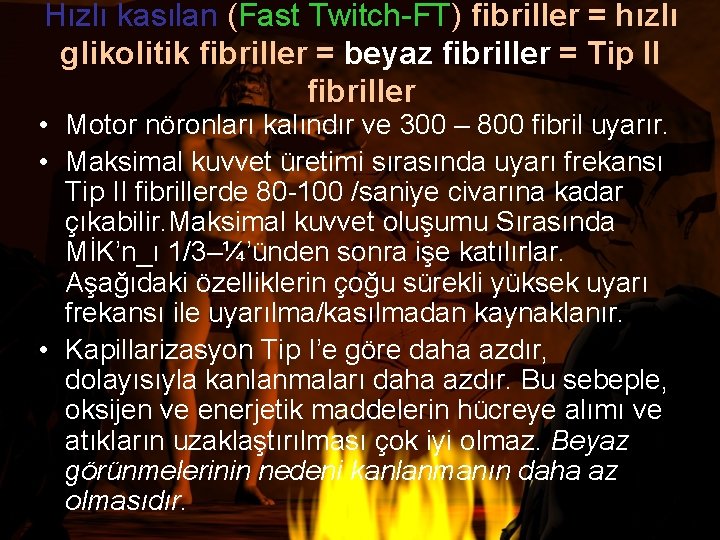 Hızlı kasılan (Fast Twitch-FT) fibriller = hızlı glikolitik fibriller = beyaz fibriller = Tip