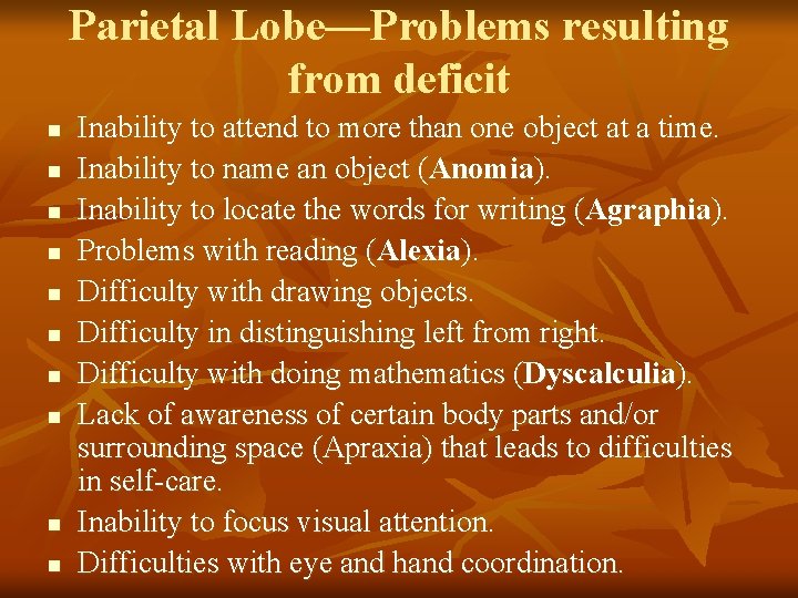 Parietal Lobe—Problems resulting from deficit n n n n n Inability to attend to