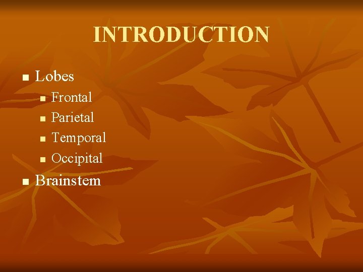 INTRODUCTION n Lobes n n n Frontal Parietal Temporal Occipital Brainstem 