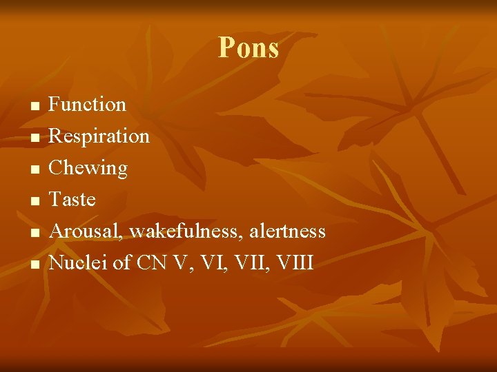 Pons n n n Function Respiration Chewing Taste Arousal, wakefulness, alertness Nuclei of CN