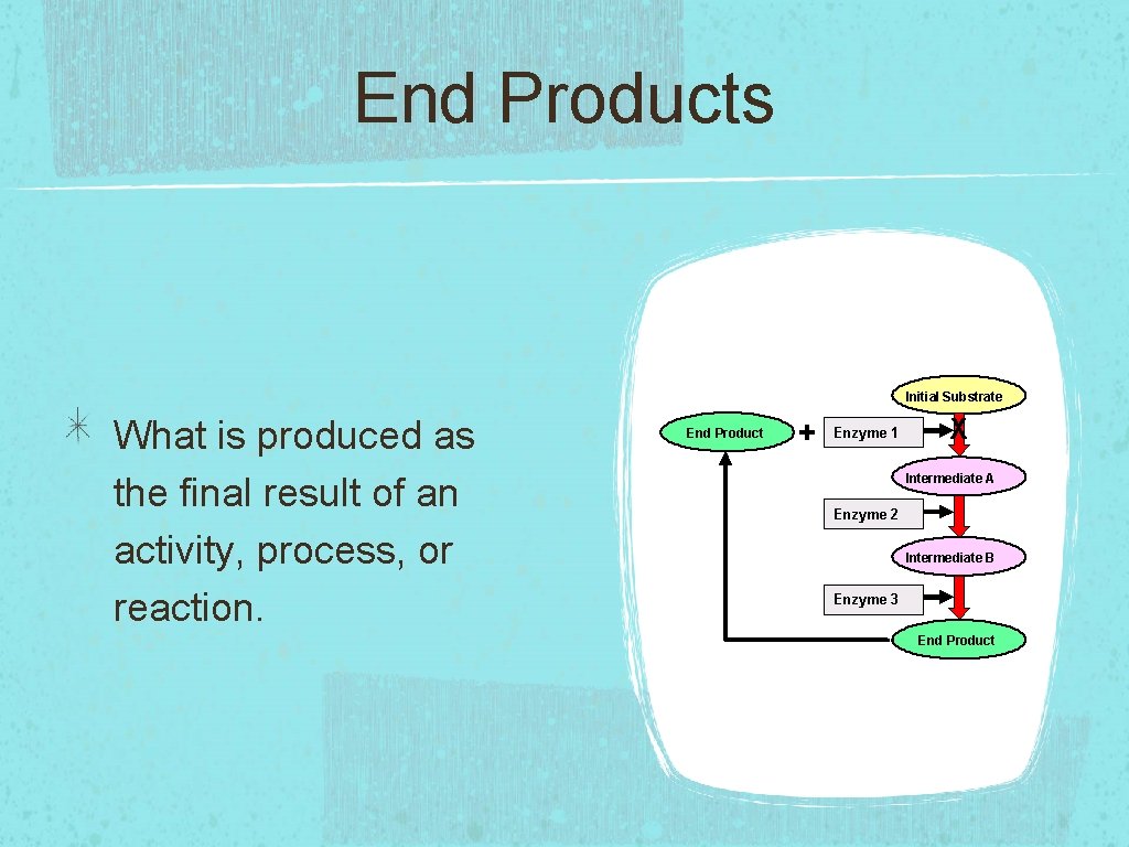 End Products What is produced as the final result of an activity, process, or