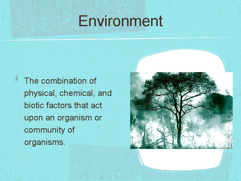 Environment The combination of physical, chemical, and biotic factors that act upon an organism