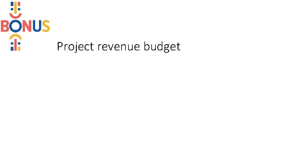 Project revenue budget 
