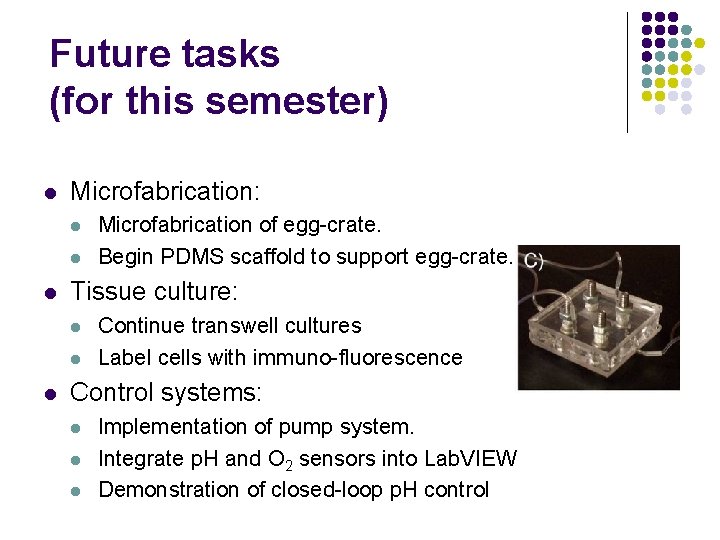 Future tasks (for this semester) l Microfabrication: l l l Tissue culture: l l