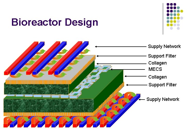 Bioreactor Design Supply Network Support Filter Collagen MECS Collagen Support Filter Supply Network 