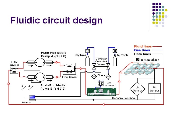 Fluidic circuit design 