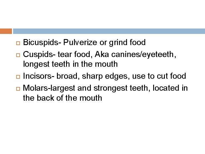  Bicuspids- Pulverize or grind food Cuspids- tear food, Aka canines/eyeteeth, longest teeth in