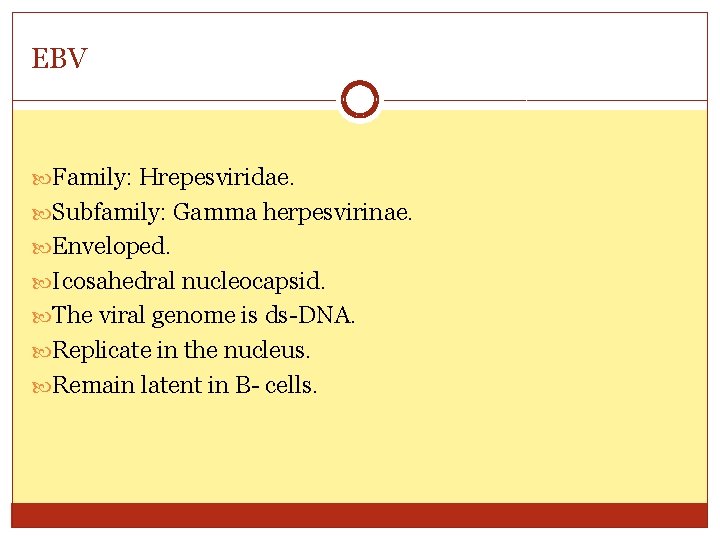 EBV Family: Hrepesviridae. Subfamily: Gamma herpesvirinae. Enveloped. Icosahedral nucleocapsid. The viral genome is ds-DNA.