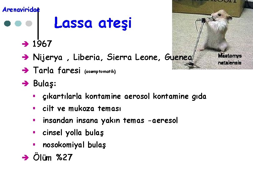 Arenaviridae Lassa ateşi è 1967 è Nijerya , Liberia, Sierra Leone, Guenea è Tarla