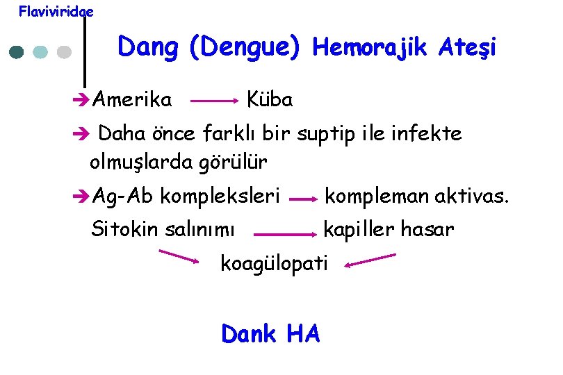 Flaviviridae Dang (Dengue) Hemorajik Ateşi èAmerika Küba è Daha önce farklı bir suptip ile
